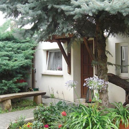 Lovely Home In Heideblick With Kitchen Langengrassau エクステリア 写真