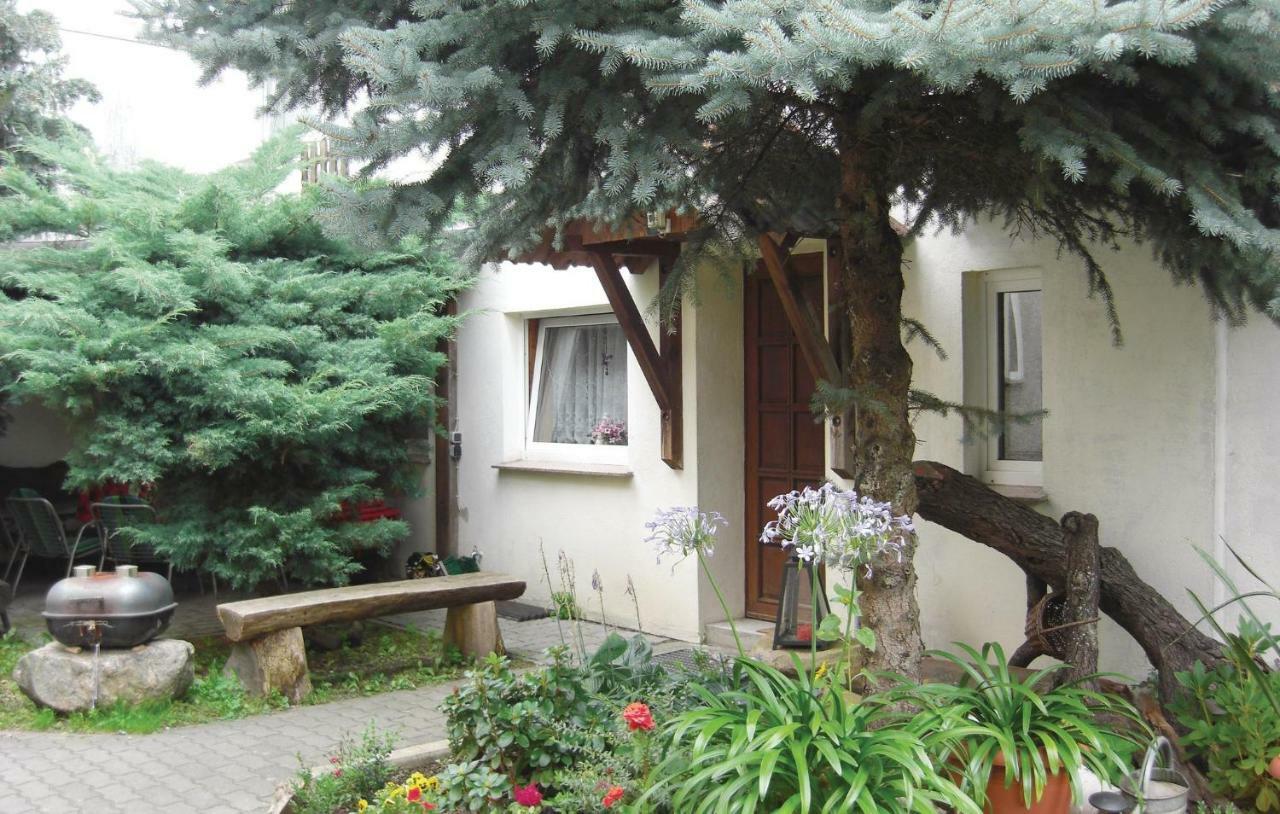 Lovely Home In Heideblick With Kitchen Langengrassau エクステリア 写真